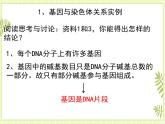 3.4 基因通常是有遗传效应的DNA片段 课件+教案