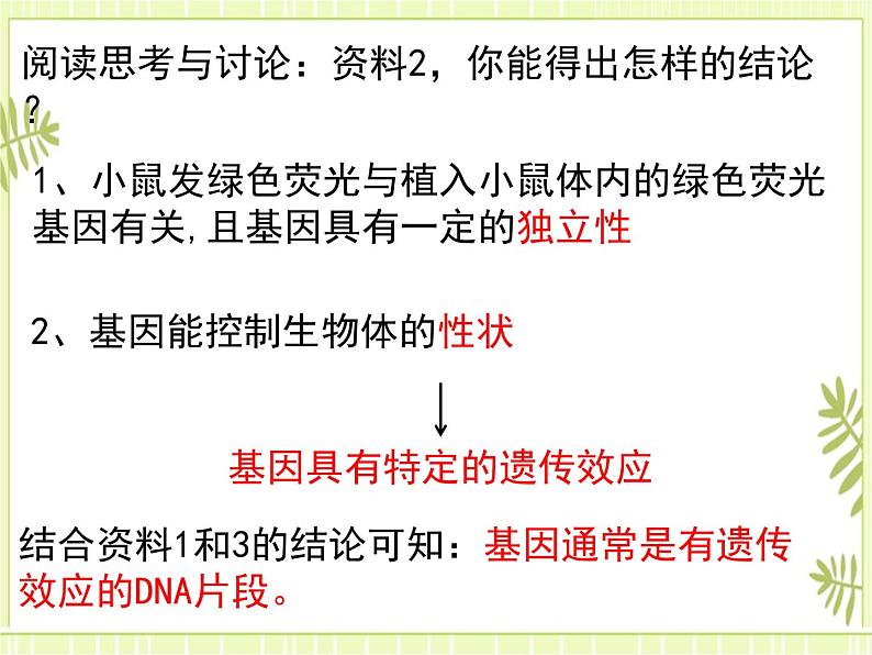 3.4 基因通常是有遗传效应的DNA片段 课件+教案07