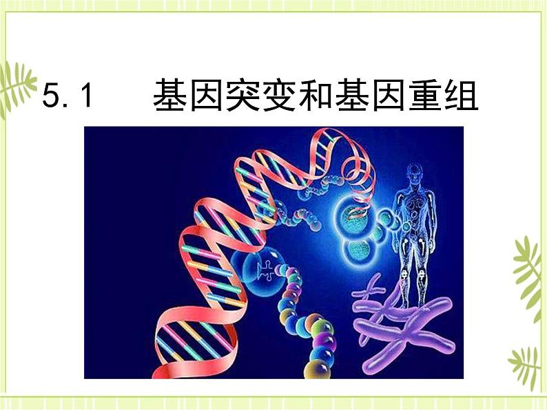 5.1 基因突变和基因重组 课件+教案01