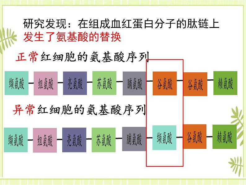 5.1 基因突变和基因重组 课件+教案06