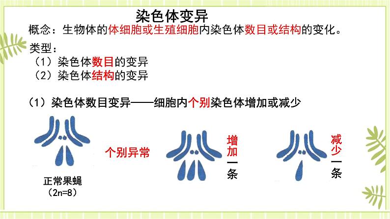 5.2 染色体变异 课件+教案03