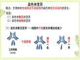 5.2 染色体变异 课件+教案