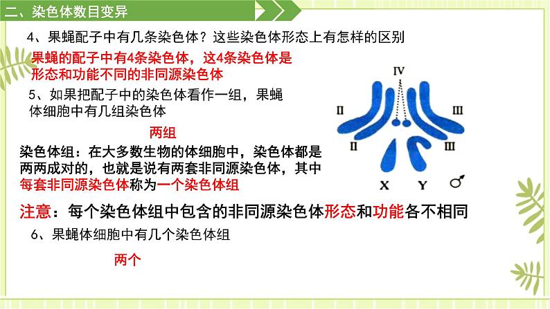 5.2 染色体变异 课件+教案07