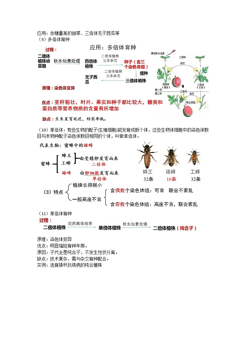 5.2 染色体变异 课件+教案03