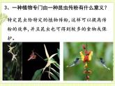 6.4  协同进化与生物多样性的形成 课件+教案