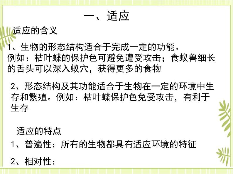 6.2 自然选择和适应的形成 课件+教案04