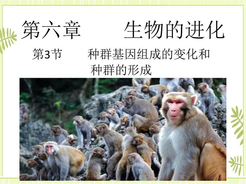 6.3 种群基因组成的变化与物种的形成 课件+教案01