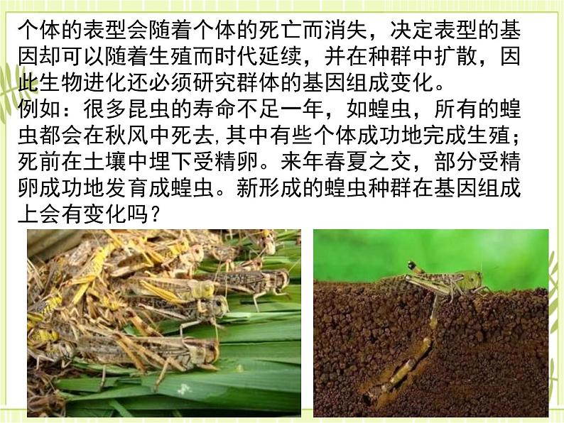 6.3 种群基因组成的变化与物种的形成 课件+教案05