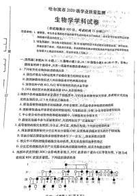 2023省哈尔滨高三上学期学业质量监测试题生物PDF版无答案