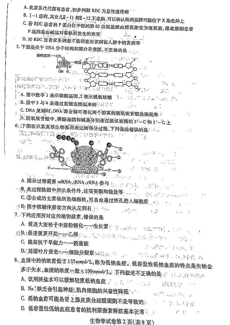2023省哈尔滨高三上学期学业质量监测试题生物PDF版无答案第2页