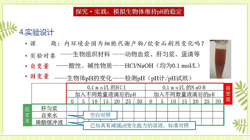 1.2内环境的稳态课件高中生物人教版（2019）选择性必修一第7页