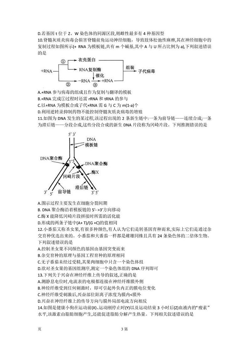 2023届河南省名校联盟九师联盟高三上学期摸底联考 生物（PDF版） 试卷练习03