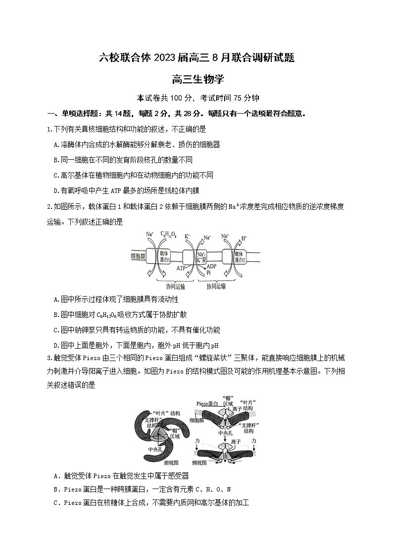 2023南京六校联合体高三8月联合调研考试生物含答案第1页