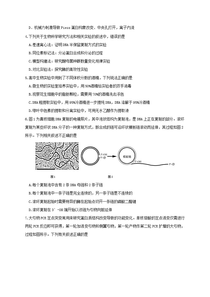 2023南京六校联合体高三8月联合调研考试生物含答案第2页