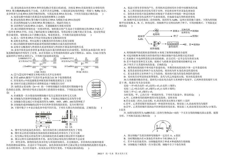 2022成都树德中学高一下学期期末考试生物PDF版含答案（可编辑）03