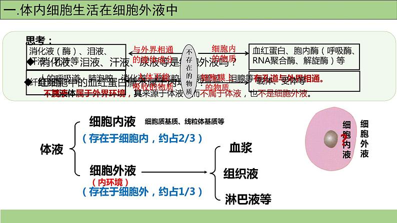 1.1细胞生活的环境-课件-2021-2022学年高二上学期生物人教版（2019）选择性必修1第4页