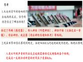 2.3神经冲动的产生和传导（一）课件-2021-2022学年高二上学期生物人教版2019必修3