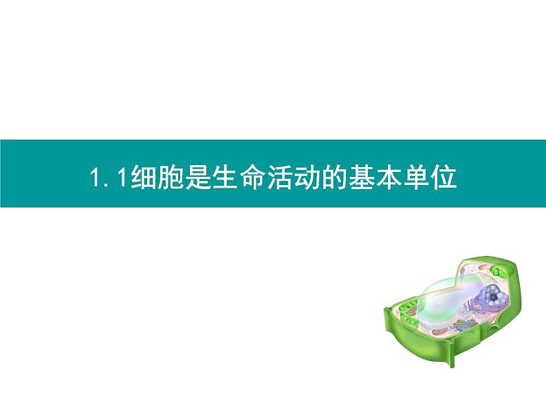 1.1细胞是生命活动的基本单位课件2021-2022学年高一上学期生物人教版必修一01