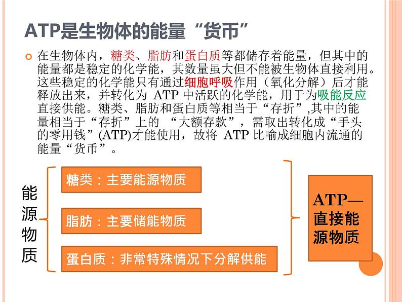 必修1第5章第2节 细胞的能量“货币”ATP 课件PPT第5页