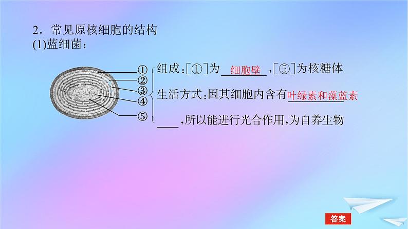 2022_2023学年新教材高中生物第1章走近细胞第2节细胞的多样性和统一性课件新人教版必修107