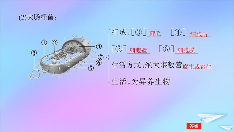 2022_2023学年新教材高中生物第1章走近细胞第2节细胞的多样性和统一性课件新人教版必修108