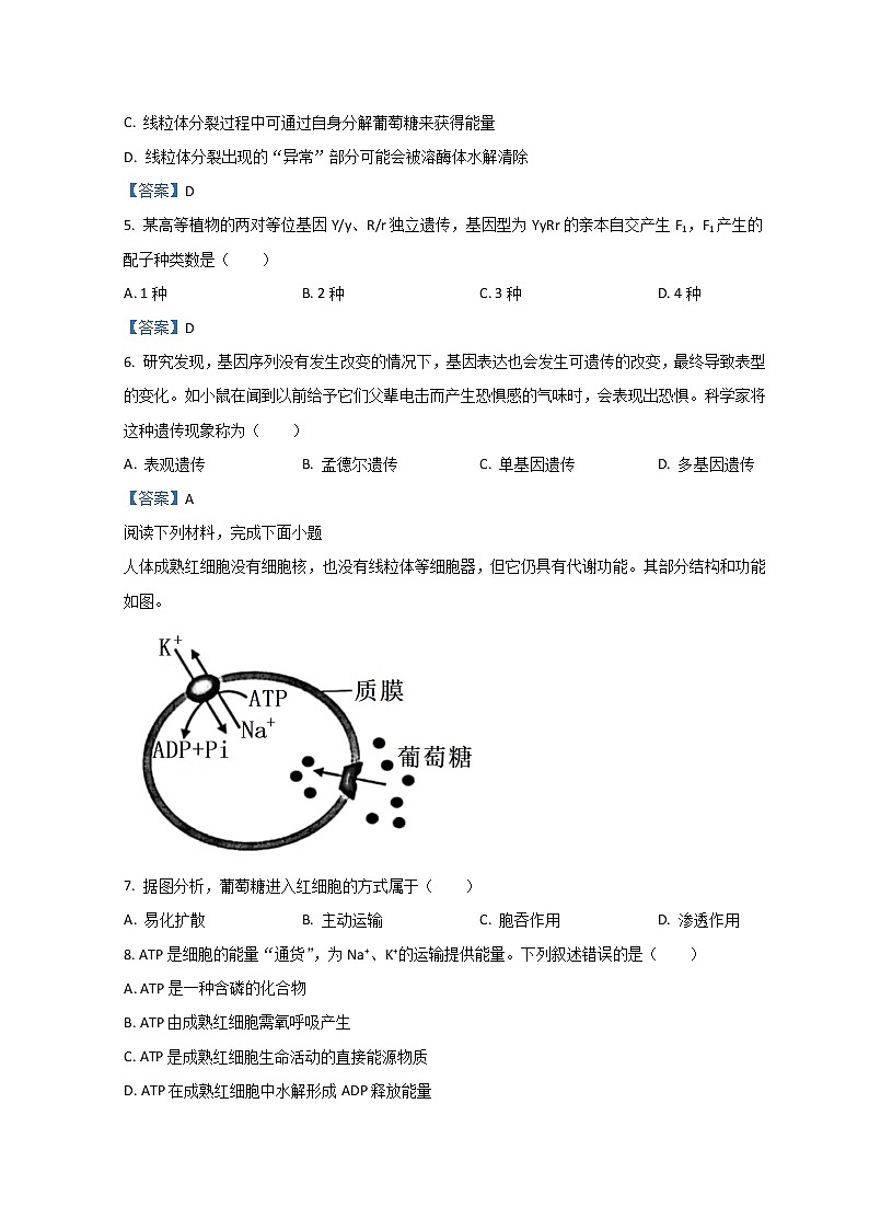 2022嘉兴、舟山高一下学期期末生物试题含答案02
