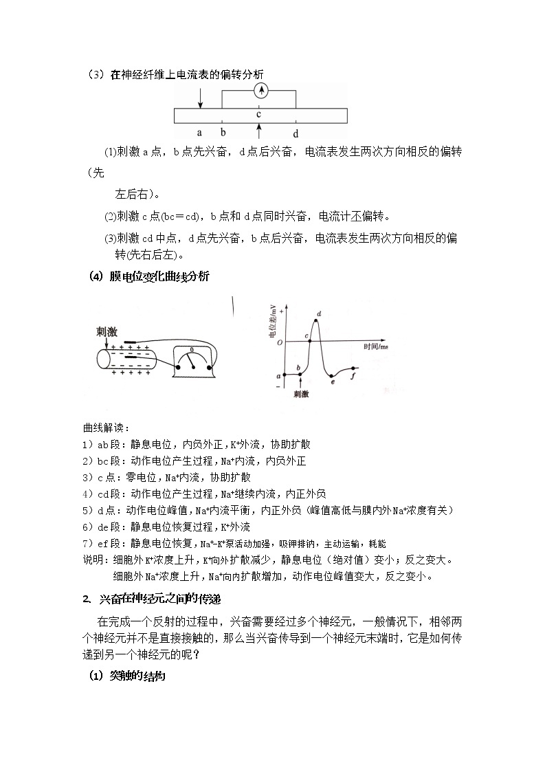 2.3 神经冲动的产生和传导 教案（2课时）03