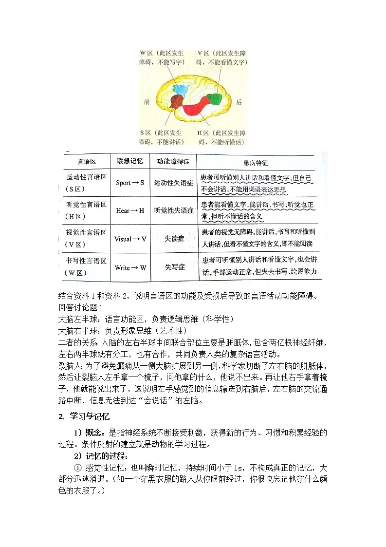 2.5 人脑的高级功能 教案02