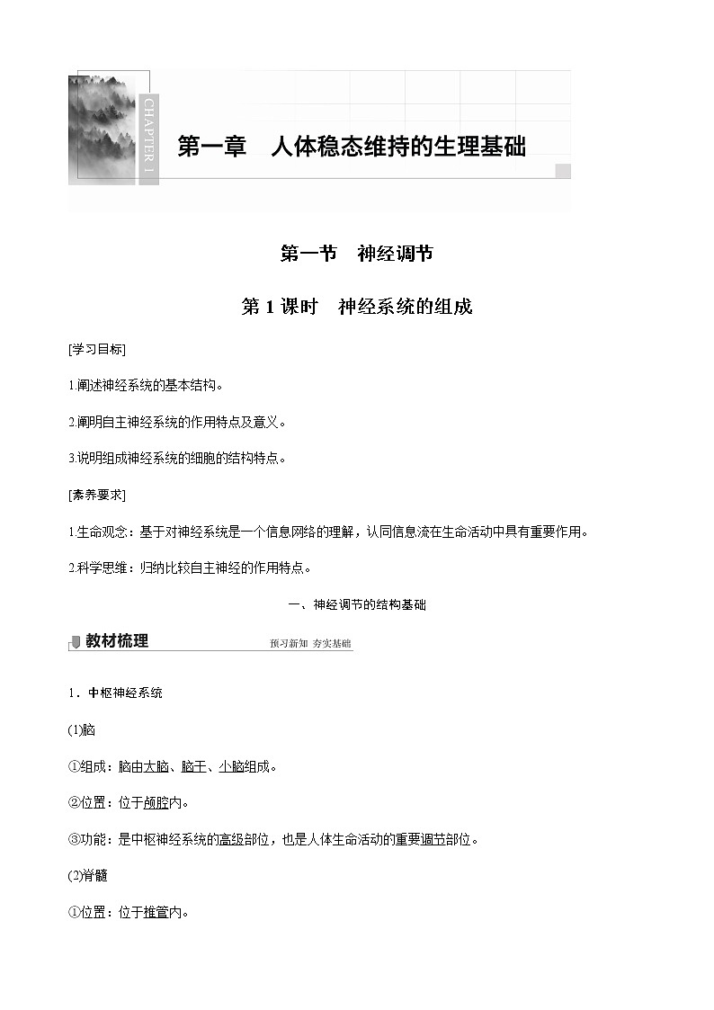 第一章人体稳态维持的生理基础  第一节　神经调节 第1课时 神经系统的组成（学案+课件）01