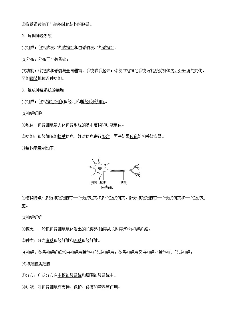 第一章人体稳态维持的生理基础  第一节　神经调节 第1课时 神经系统的组成（学案+课件）02
