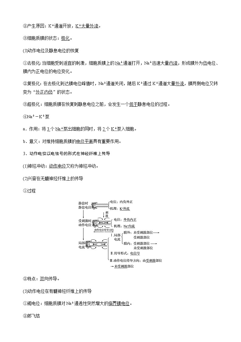 第一章人体稳态维持的生理基础  第一节　神经调节 第2课时 动作电位的产生和传导及神经冲动在神经细胞之间的传递（学案+课件）02