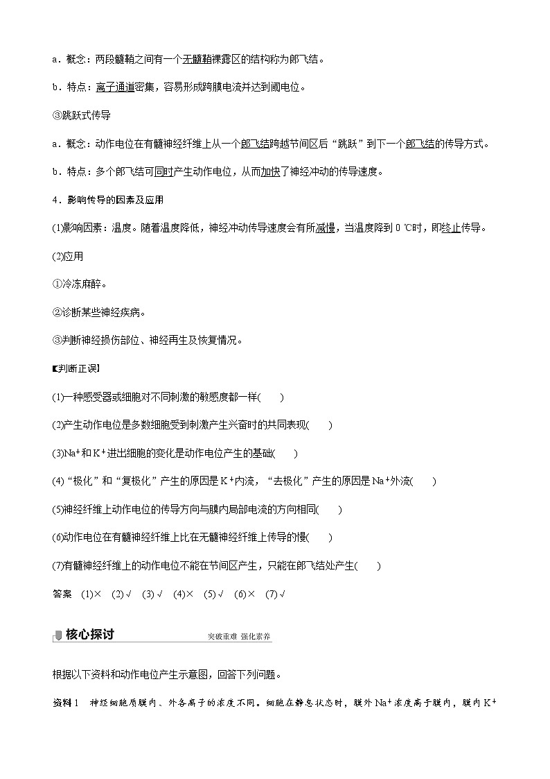 第一章人体稳态维持的生理基础  第一节　神经调节 第2课时 动作电位的产生和传导及神经冲动在神经细胞之间的传递（学案+课件）03