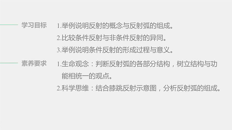 第一章人体稳态维持的生理基础  第一节　神经调节 第3课时 神经调节的基本方式是反射（学案+课件）02