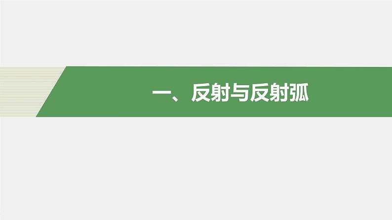 第一章人体稳态维持的生理基础  第一节　神经调节 第3课时 神经调节的基本方式是反射（学案+课件）04