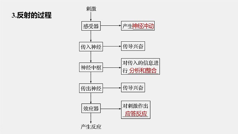 第一章人体稳态维持的生理基础  第一节　神经调节 第3课时 神经调节的基本方式是反射（学案+课件）07