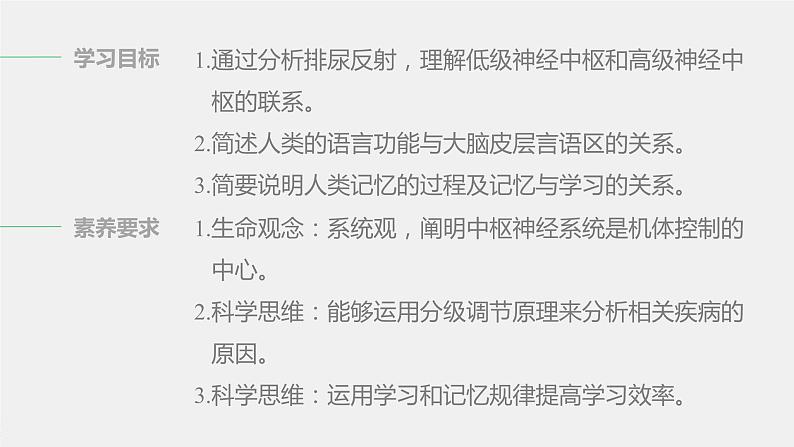 第一章人体稳态维持的生理基础  第一节　神经调节 第4课时 低级神经中枢和高级神经中枢相互联系、相互协调及人脑的高级功能（学案+课件）02