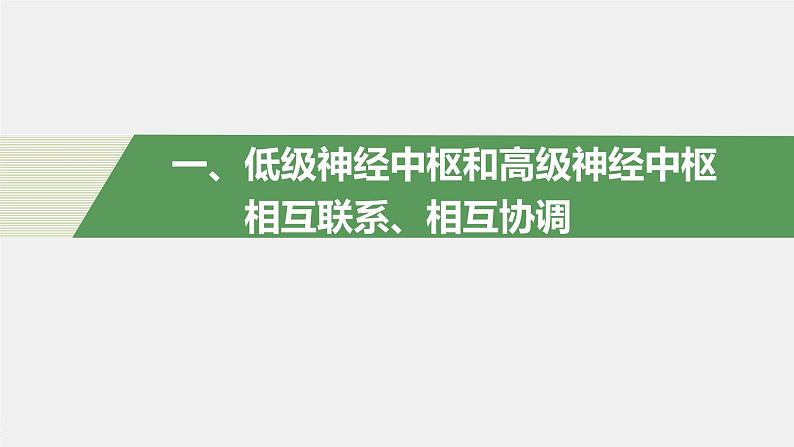 第一章人体稳态维持的生理基础  第一节　神经调节 第4课时 低级神经中枢和高级神经中枢相互联系、相互协调及人脑的高级功能（学案+课件）04