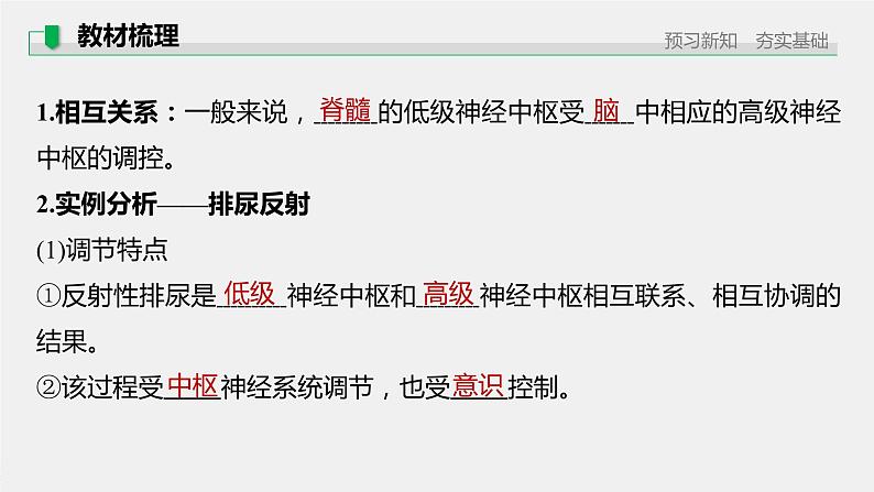 第一章人体稳态维持的生理基础  第一节　神经调节 第4课时 低级神经中枢和高级神经中枢相互联系、相互协调及人脑的高级功能（学案+课件）05