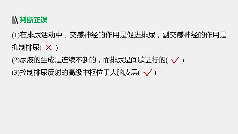 第一章人体稳态维持的生理基础  第一节　神经调节 第4课时 低级神经中枢和高级神经中枢相互联系、相互协调及人脑的高级功能（学案+课件）07