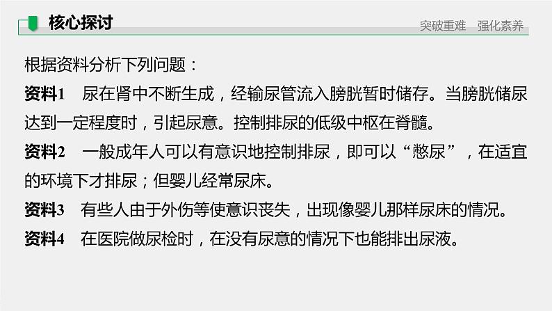 第一章人体稳态维持的生理基础  第一节　神经调节 第4课时 低级神经中枢和高级神经中枢相互联系、相互协调及人脑的高级功能（学案+课件）08