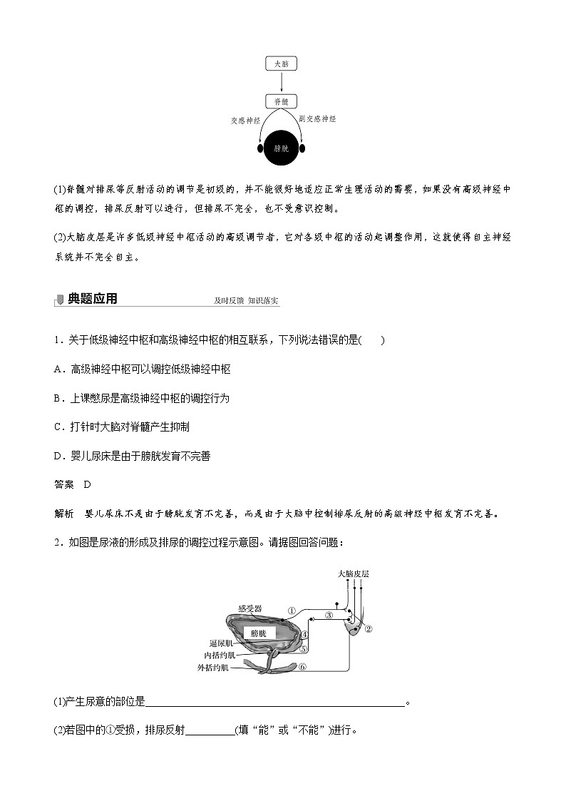 第一章 第一节 第4课时 低级神经中枢和高级神经中枢相互联系、相互协调及人脑的高级功能第3页