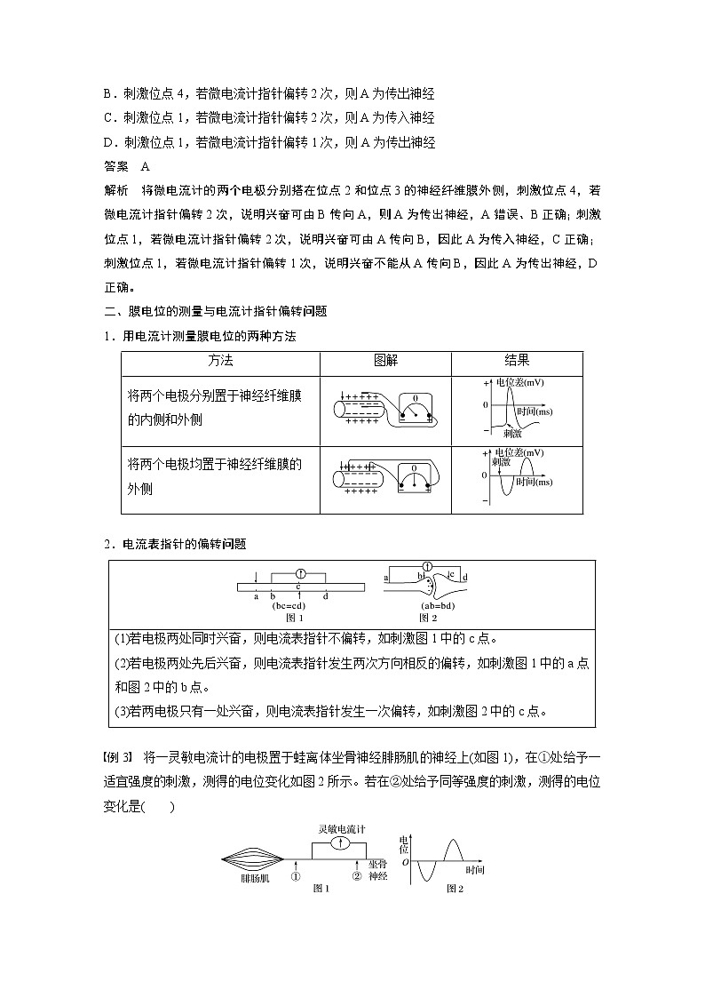 高中生物苏教版（2019）选择性必修1第一章 微专题一 动作电位的传导与传递相关实验分析题 （学案+课件）02