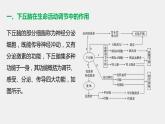 高中生物苏教版（2019）选择性必修一第二章  微专题三 下丘脑的作用及生命活动调节类型的判断（学案+课件）