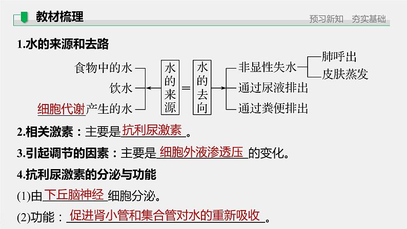 高中生物苏教版(2019)选择性必修一第二章 人体内环境与稳态 第三节 水盐平衡的调节（学案+课件）05