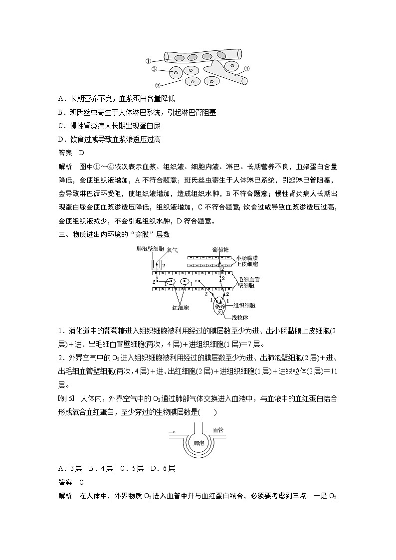 第二章 人体内环境与稳态 微专题二 内环境的结构识别、跨膜分析及组织水肿原因第3页