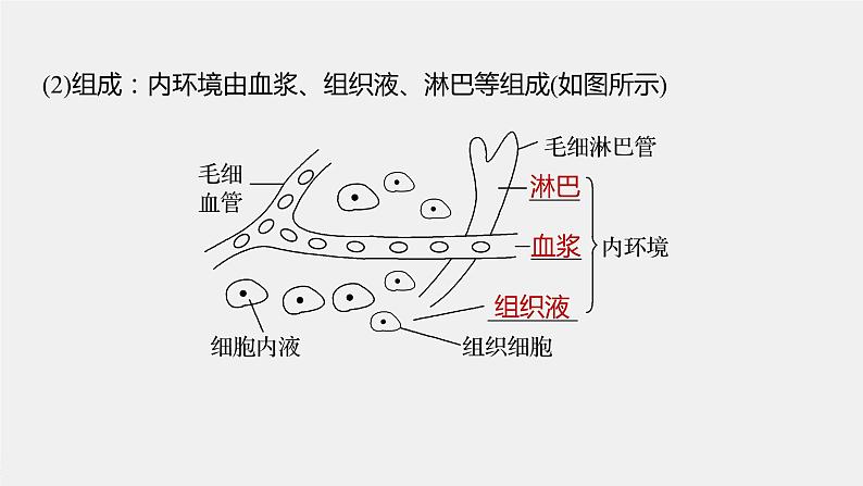 高中生物苏教版（2019）选择性必修一第二章 人体内环境与稳态 第一节 内环境的稳态（学案+课件）07