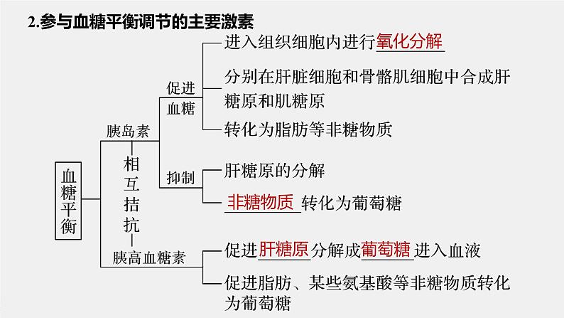 高中生物苏教版（2019）选择性必修一第二章 人体内环境与稳态 第二节 血糖平衡的调节（学案+课件）06