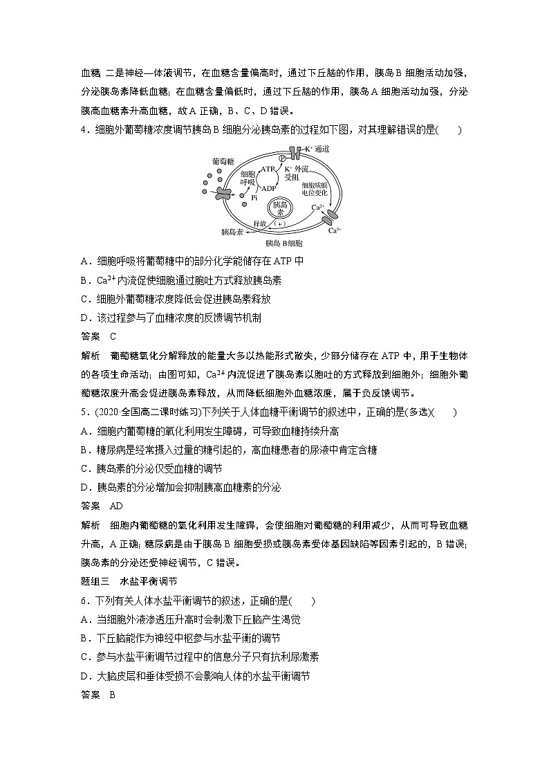 高中生物苏教版（2019）选择性必修一第二章 人体内环境与稳态 重点突破练(二)（学案+）02