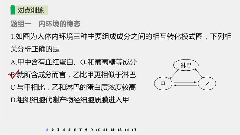 高中生物苏教版（2019）选择性必修一第二章 人体内环境与稳态 重点突破练(二)（学案+）02