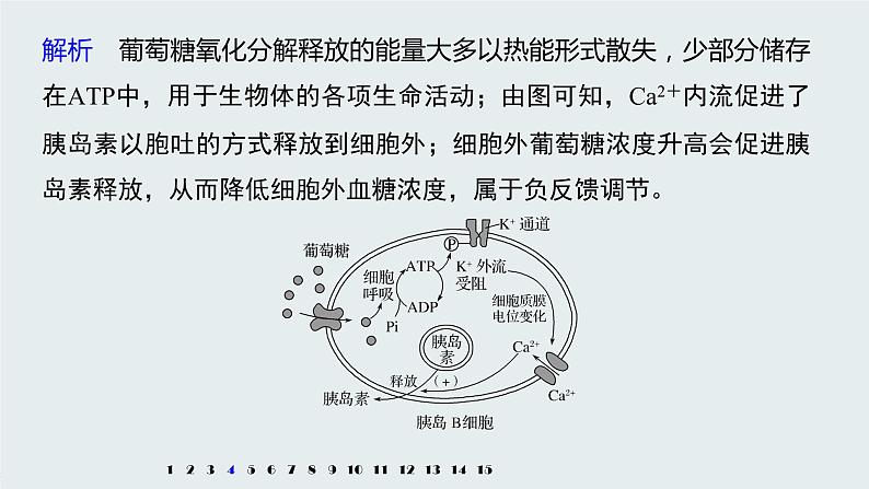 高中生物苏教版（2019）选择性必修一第二章 人体内环境与稳态 重点突破练(二)（学案+）08